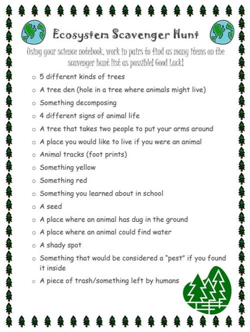 Ecosystem Scavenger hunt 